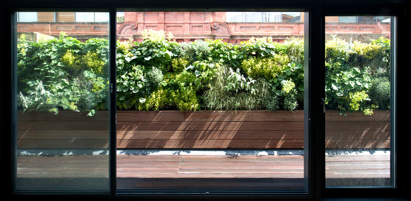 paul mcaneary architects: tex tonic house 1