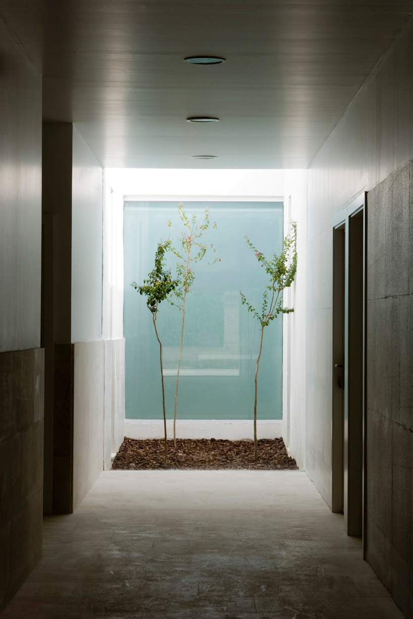 elisa valero architectura