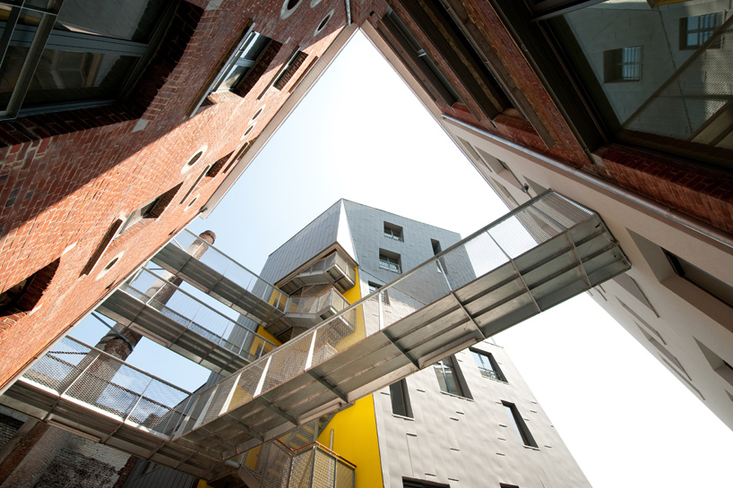 l'escaut gigogne: cheval noir