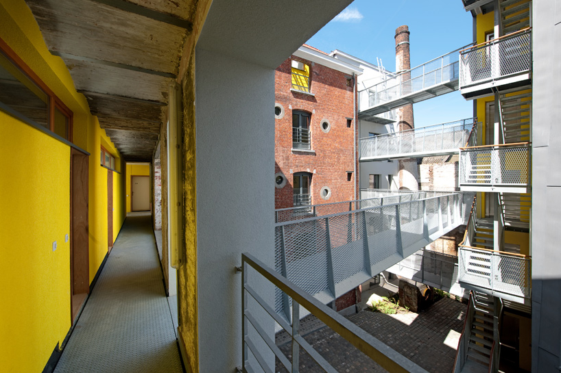 l'escaut gigogne: cheval noir