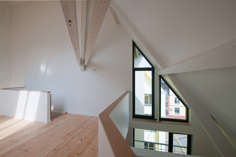 l'escaut gigogne: cheval noir