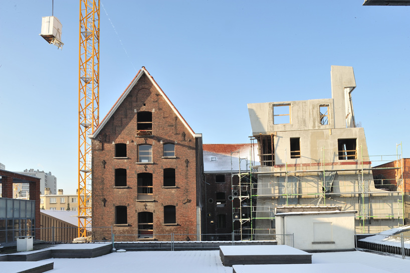 l'escaut gigogne: cheval noir