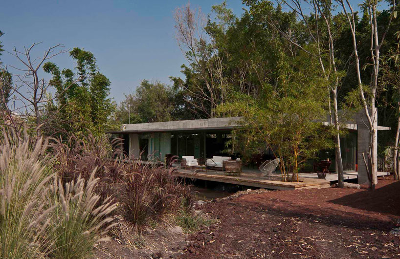 t3arc: casa la semilla/ the seed