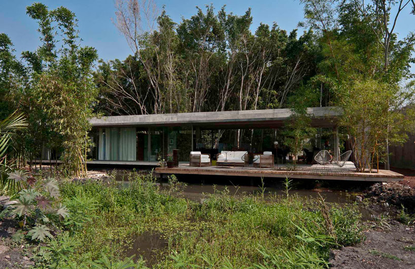 t3arc: casa la semilla/ the seed