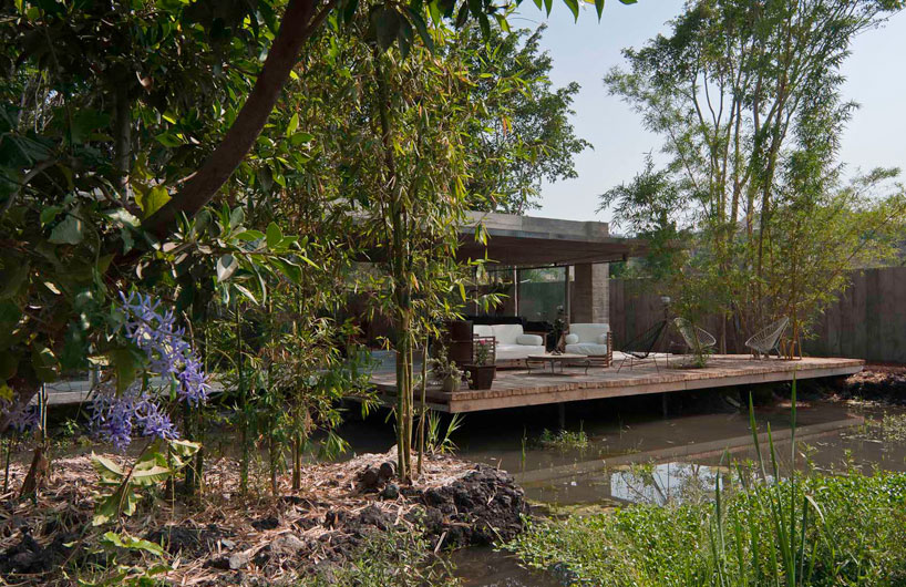 t3arc: casa la semilla/ the seed