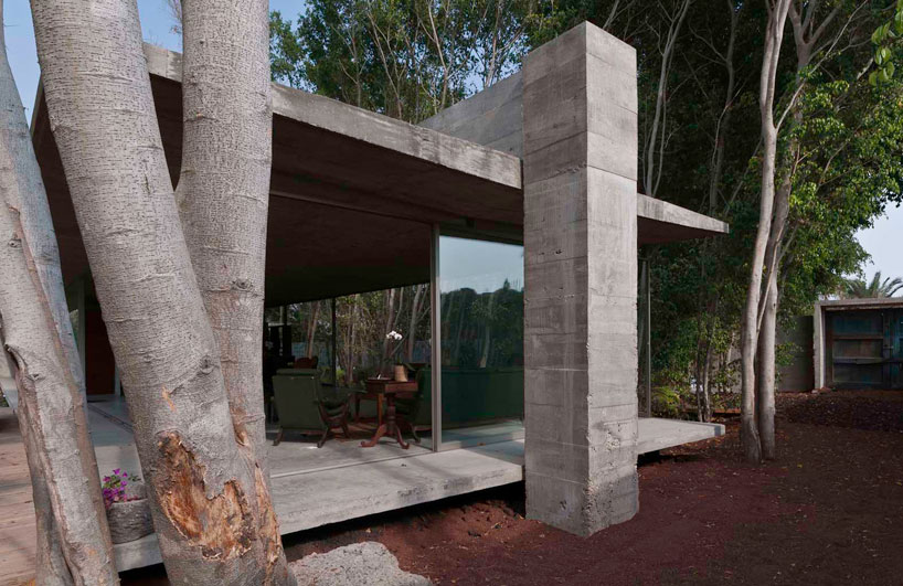 t3arc: casa la semilla/ the seed