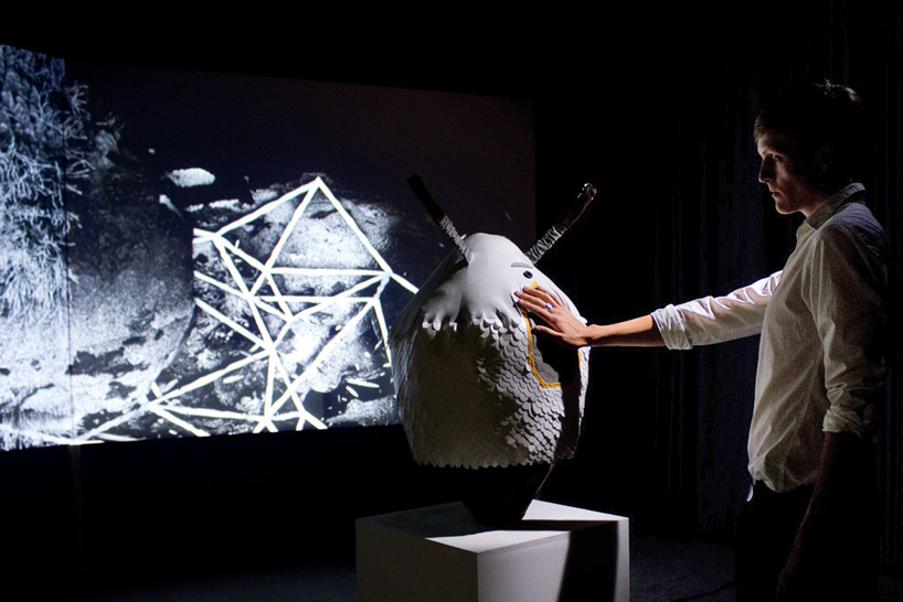 julien simshäuser: birth