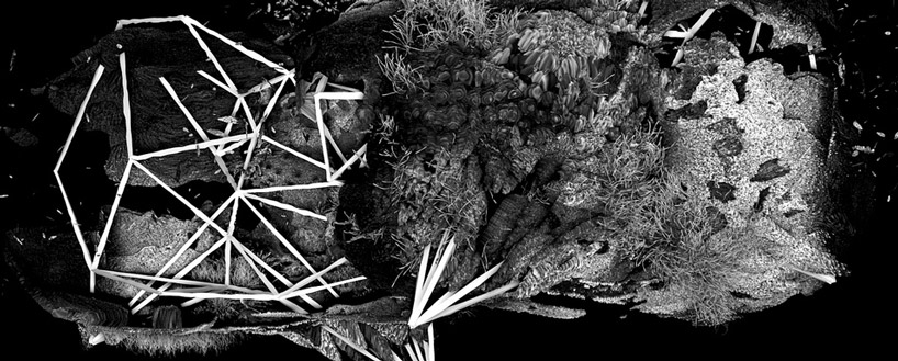 julien simshäuser: birth