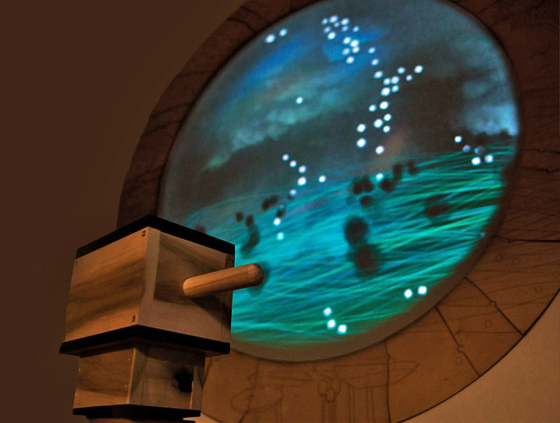 molly schwartz: hidden kingdom