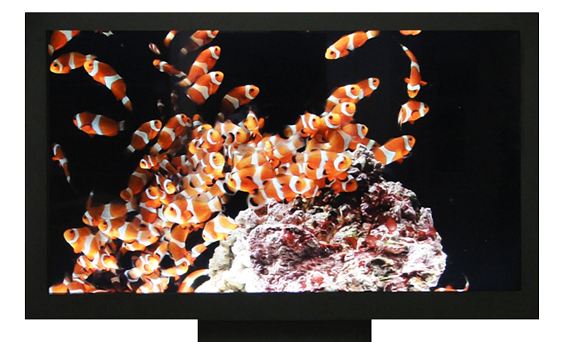 sony: flexible colour e paper