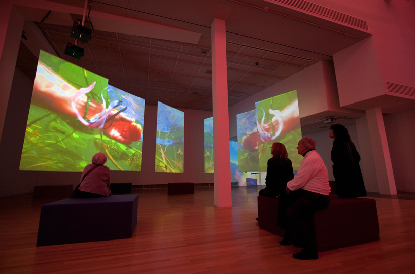 pipilotti rist: the tender room