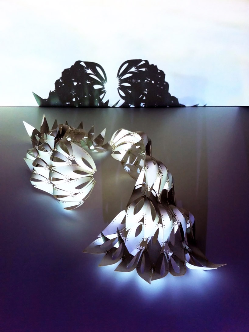 lawrence lek + onur ozkaya: twins