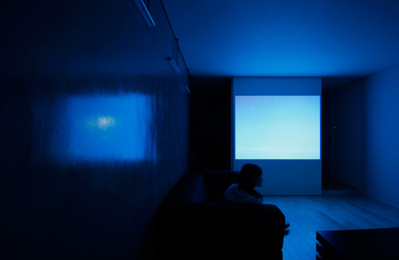 jun murata: amphidromous rectangle