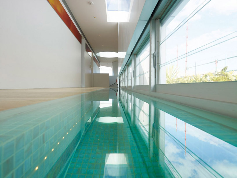 brian meyerson architects: bondi penthouse