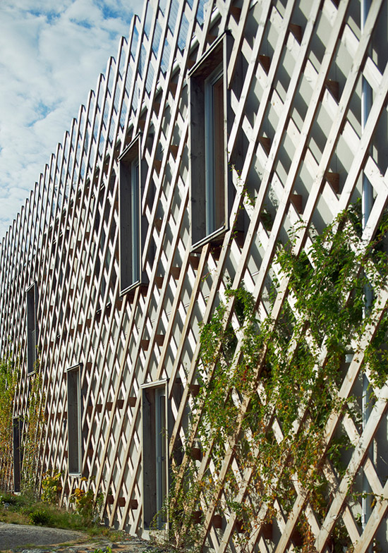 tham & videgard arkitekter: garden house