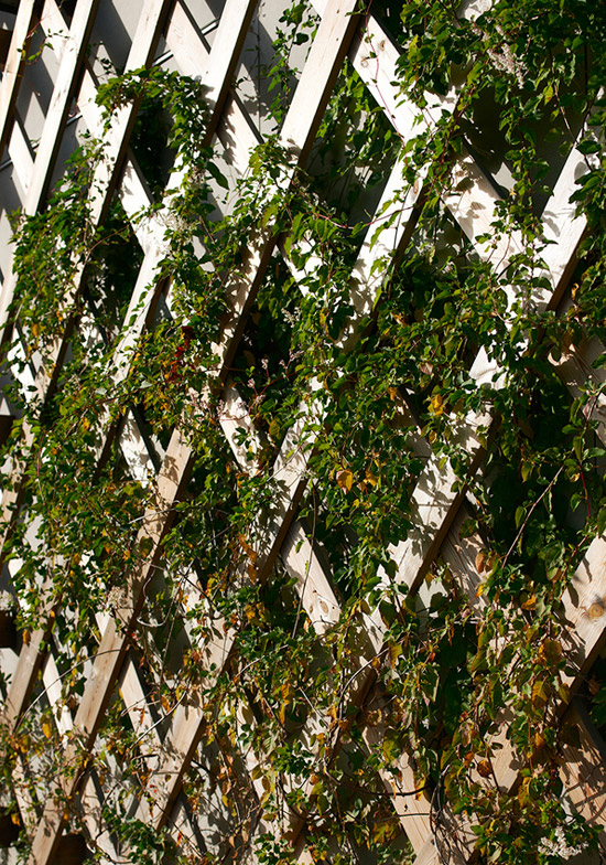 tham & videgard arkitekter: garden house