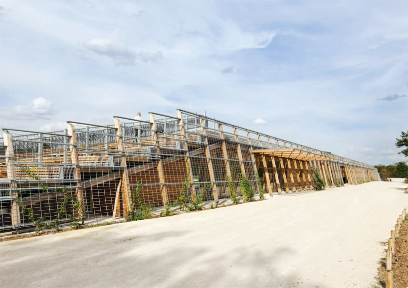 joly & loiret: le grand stade