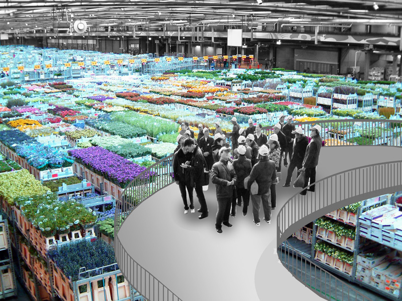 OMA: proposal for city of holland central   floriade 2022 - 1