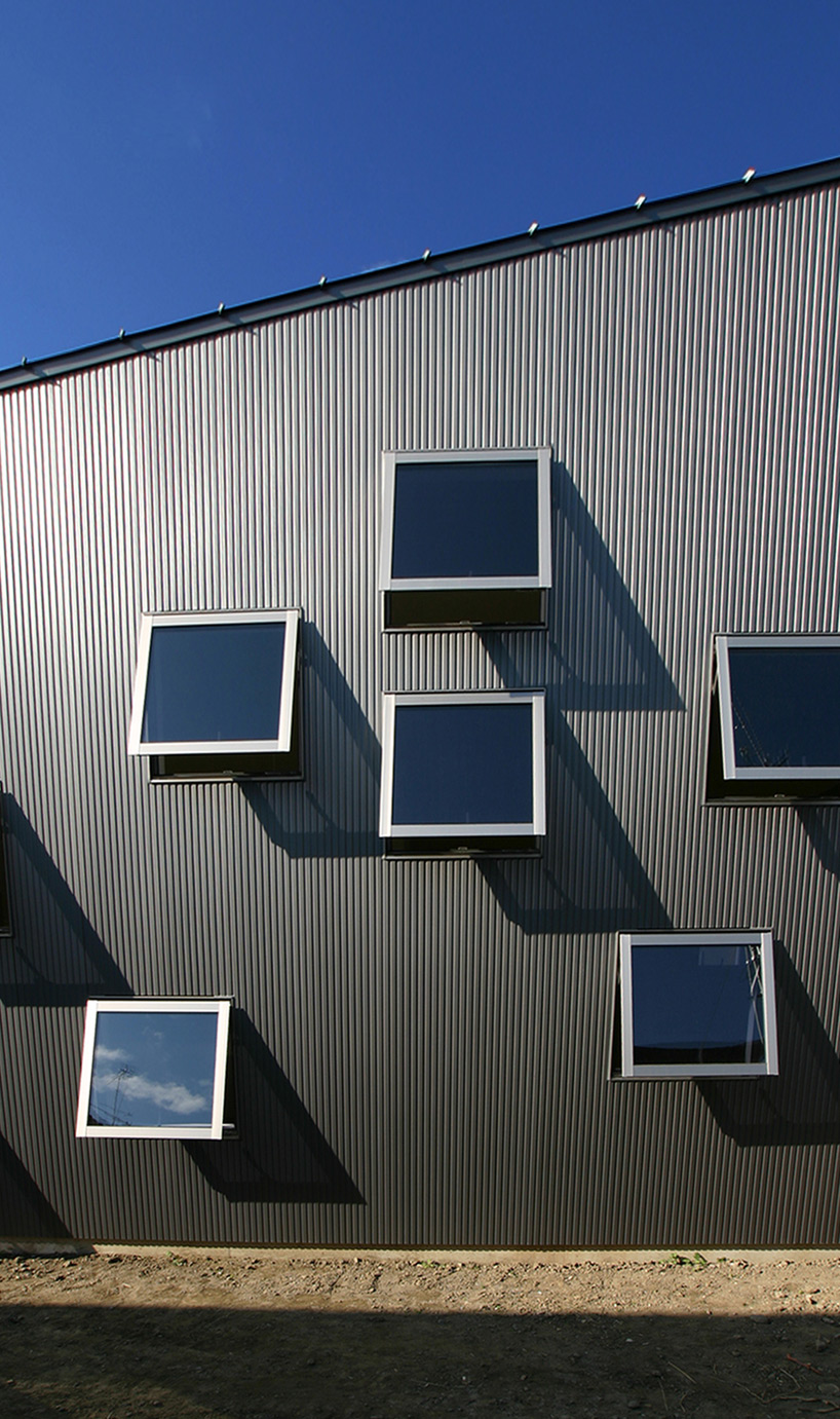 studiogreenblue: house of sunlight through trees