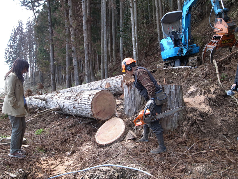 venice biennale 2012: japan pavilion preview
