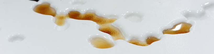 LIVE architecture: kochi muziris biennale foundation office