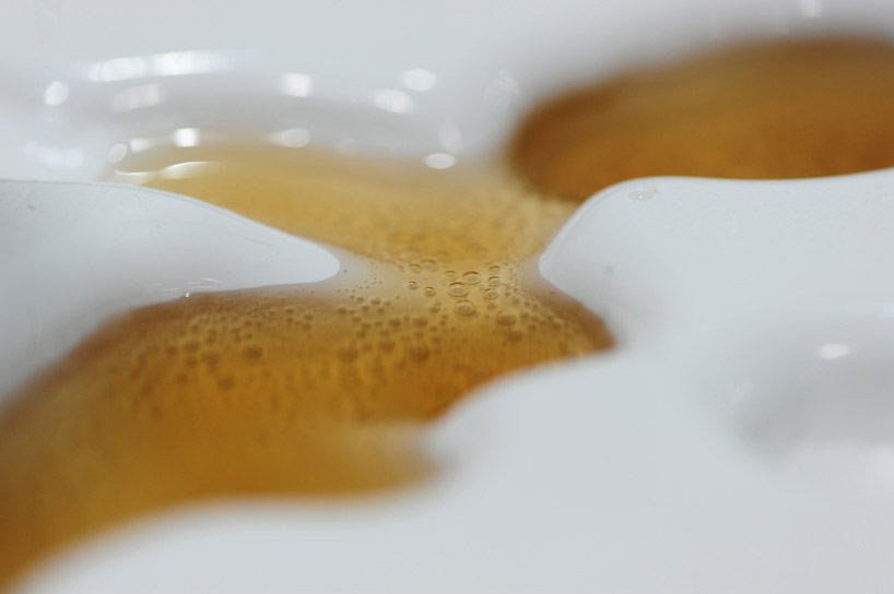 LIVE architecture: kochi muziris biennale foundation office