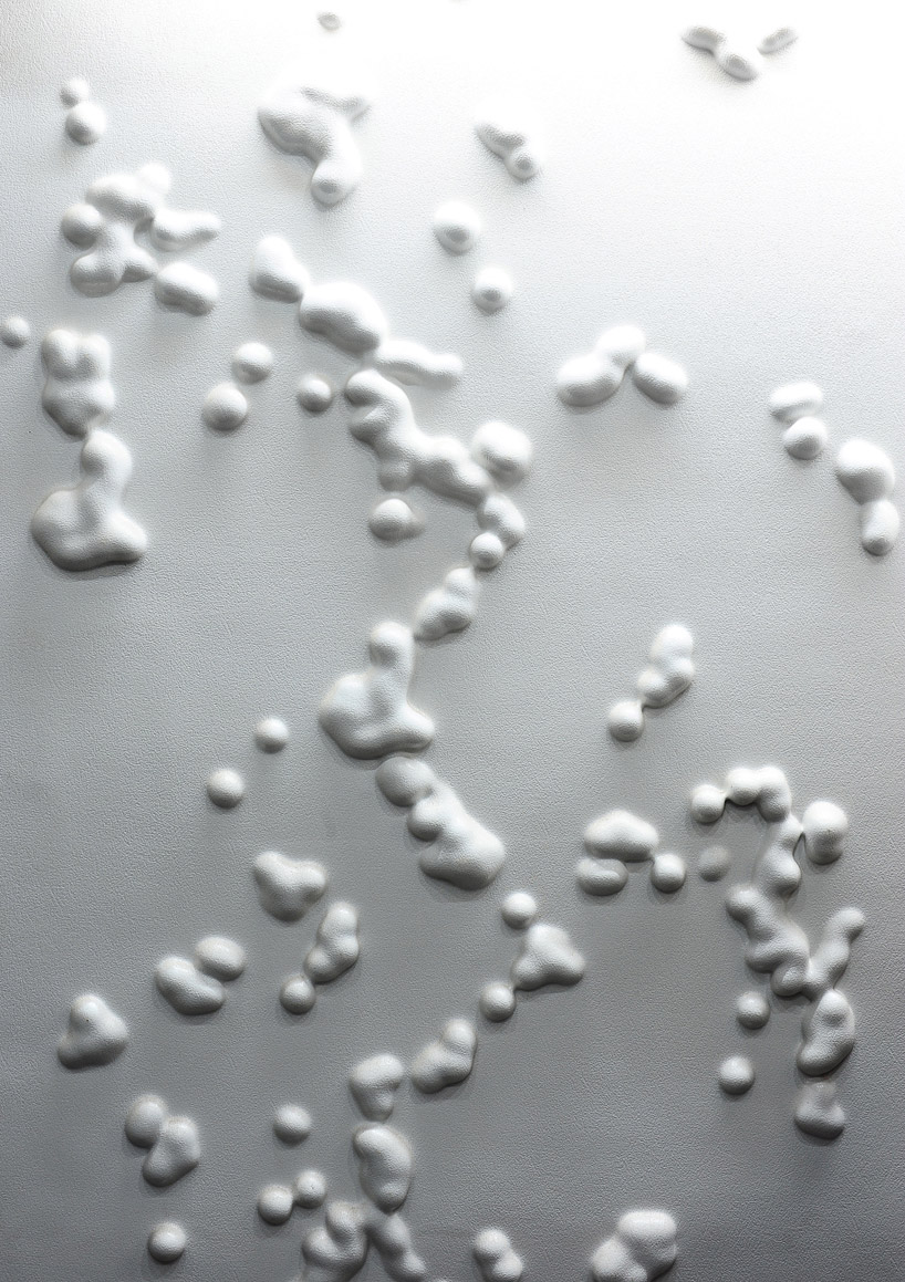 LIVE architecture: kochi muziris biennale foundation office