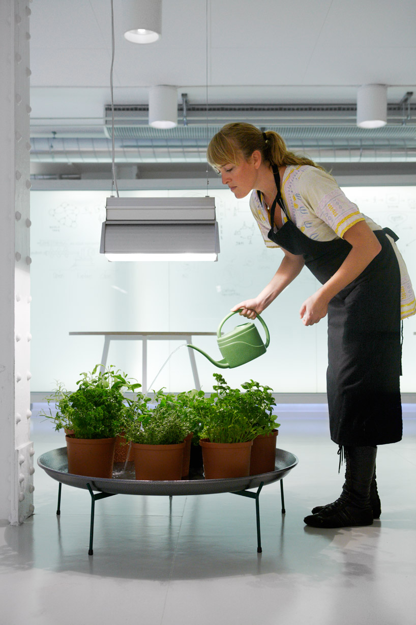 eriksen skajaa architects: netlife research office