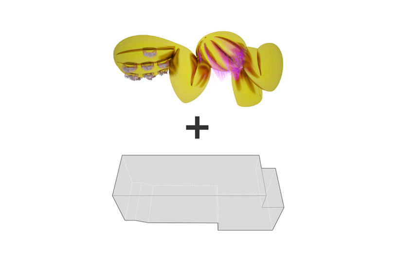 the los angeles design group: pigs in box