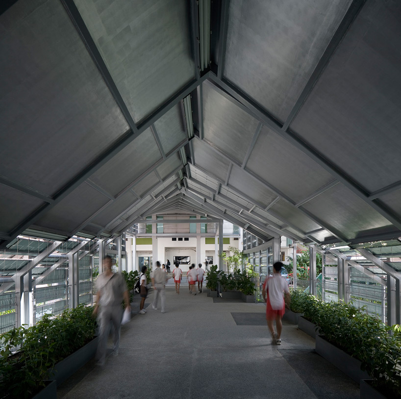 plystudio: campus bridge, singapore