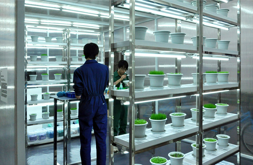 interview with architects jing liu and florian idenburg of SO-IL