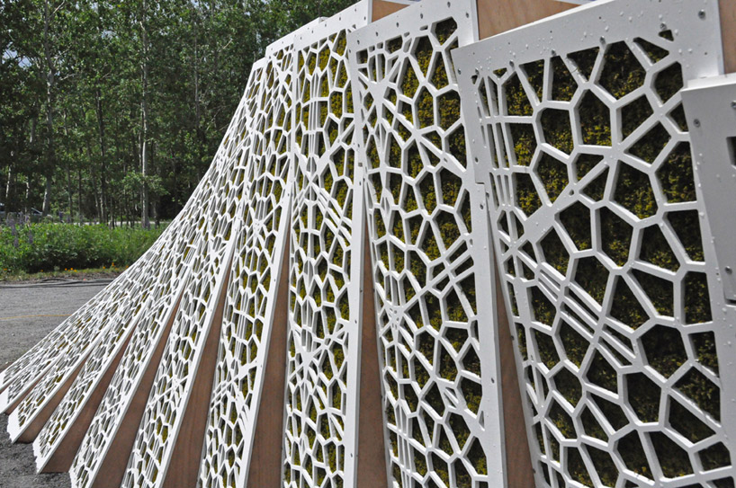 asensio_mah: surface deep