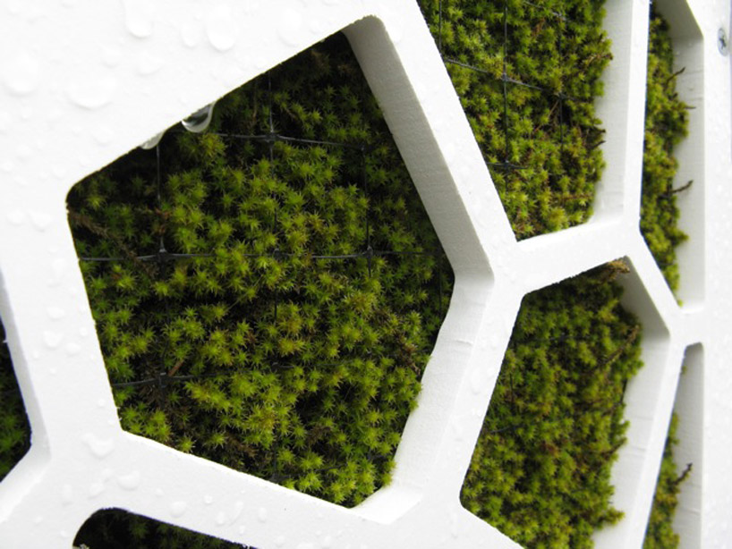 asensio_mah: surface deep