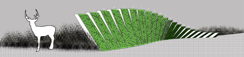 asensio_mah: surface deep