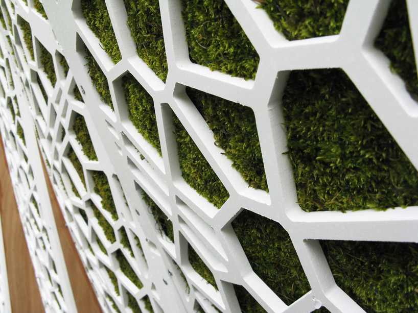 asensio_mah: surface deep