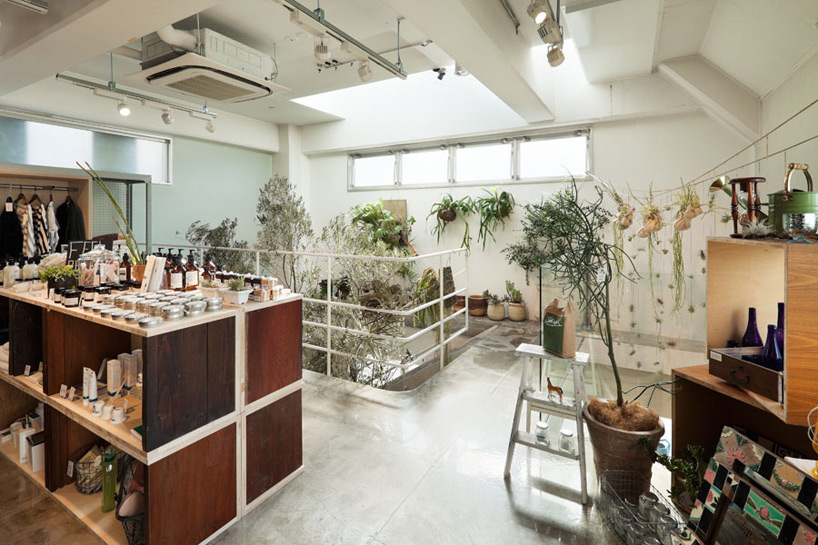 schemata architecture office: today's special jiyugaoka