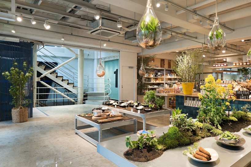 schemata architecture office: today's special jiyugaoka