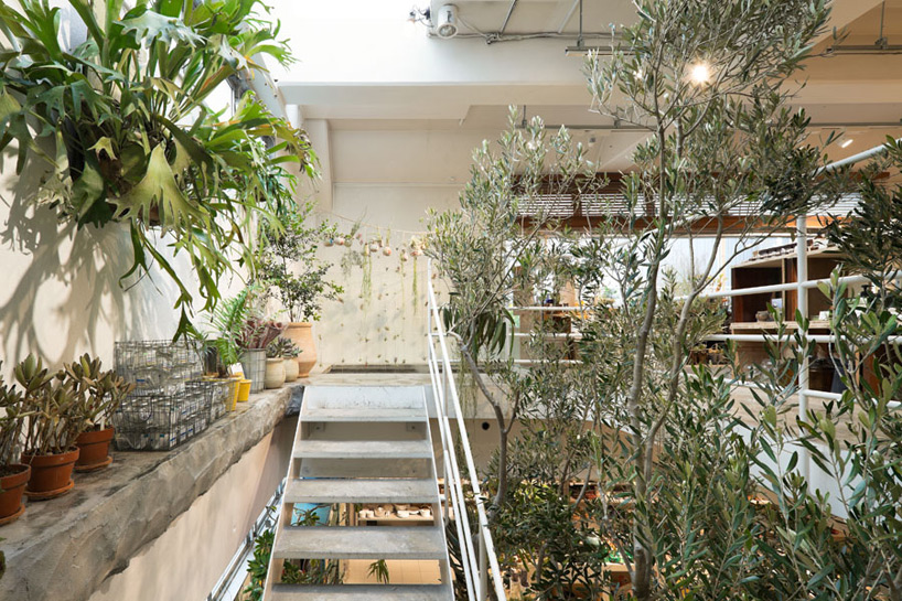 schemata architecture office: today's special jiyugaoka