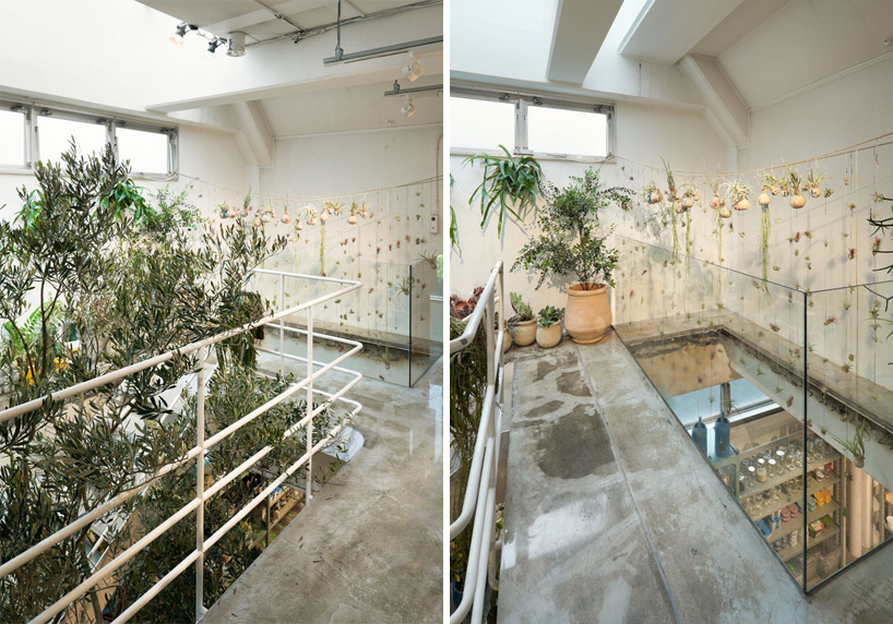 schemata architecture office: today's special jiyugaoka