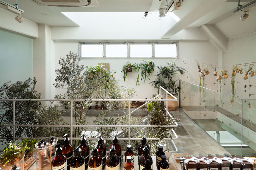 schemata architecture office: today's special jiyugaoka