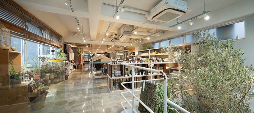 schemata architecture office: today's special jiyugaoka
