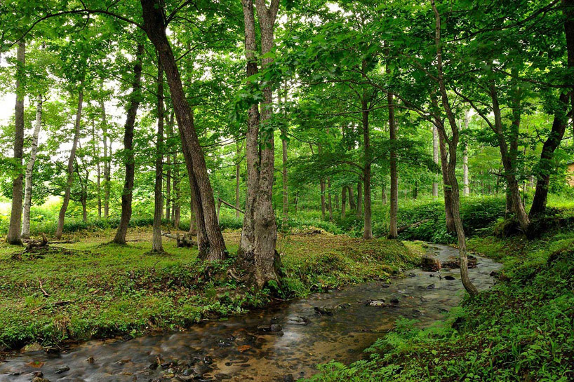 Dan Pearson Studio Tokachi Millenium Forest In Japan