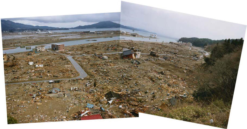 architecture in the wake of disaster: japan pavilion for the 2012 venice architecture biennale - 1