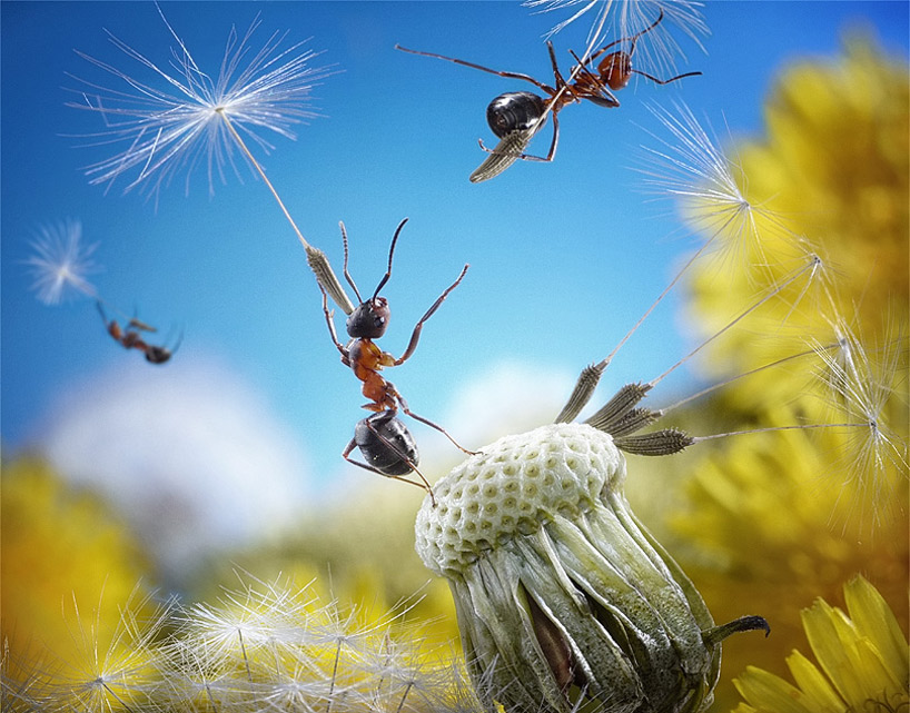 ant tales series by andrey pavlov - 1