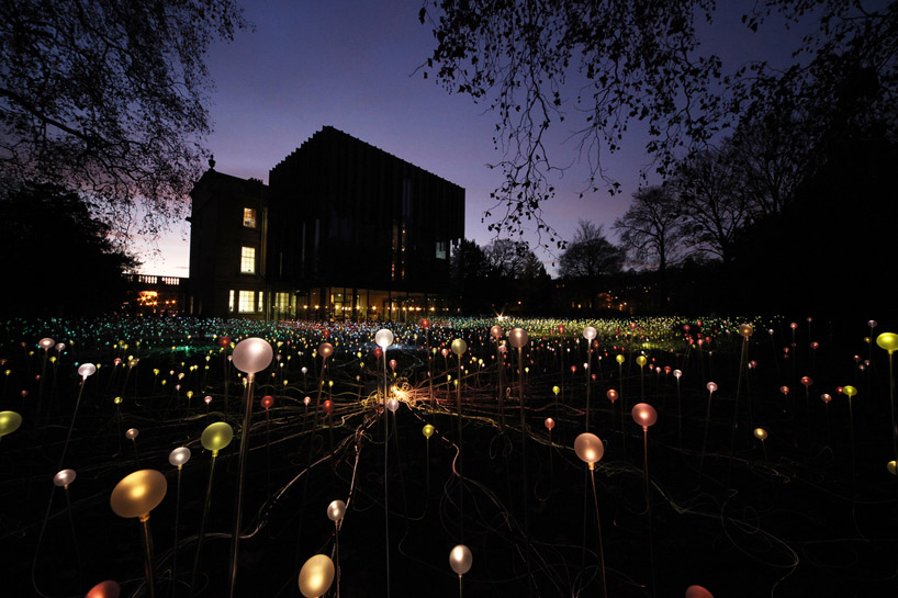 bruce munro: field of light at the holburne museum - 1
