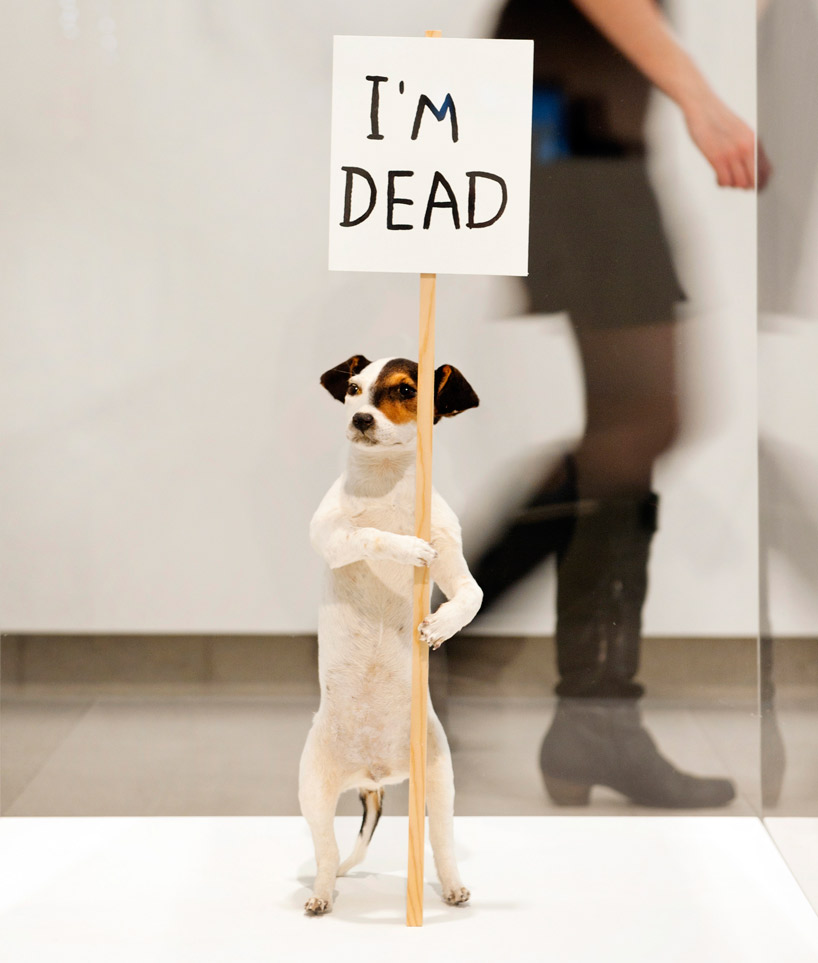 david shrigley: brain activity at hayward gallery, london - 1