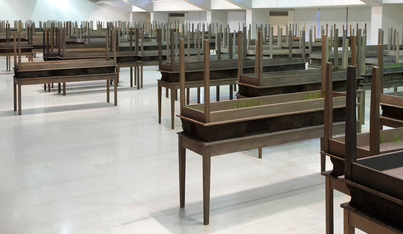 doris salcedo: plegaria muda at MAXXI, rome