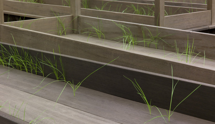 doris salcedo: plegaria muda at MAXXI, rome