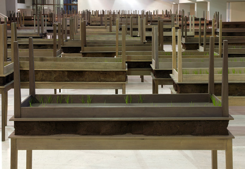 doris salcedo: plegaria muda at MAXXI, rome