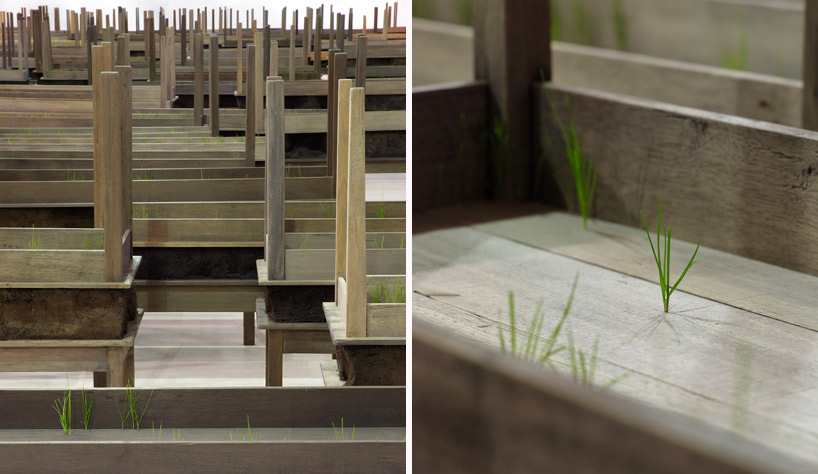 doris salcedo: plegaria muda at MAXXI, rome